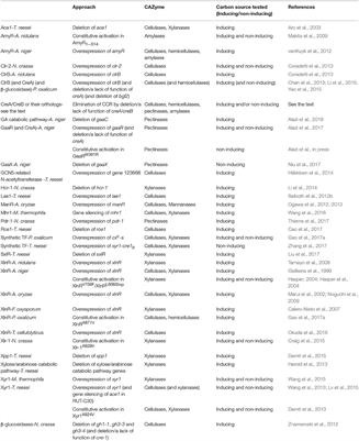 Modulating Transcriptional Regulation of Plant Biomass Degrading Enzyme Networks for Rational Design of Industrial Fungal Strains